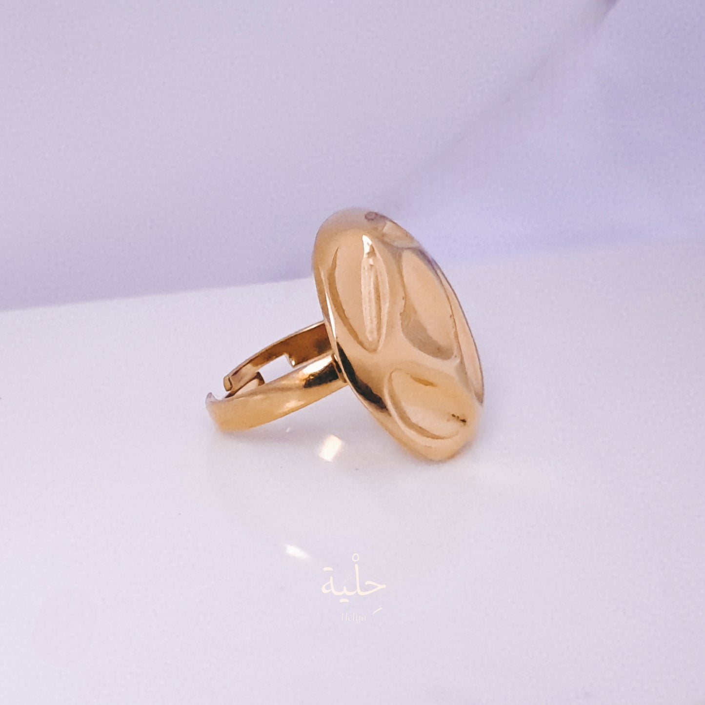 Circle Arrugas stainless steel ring _ gold