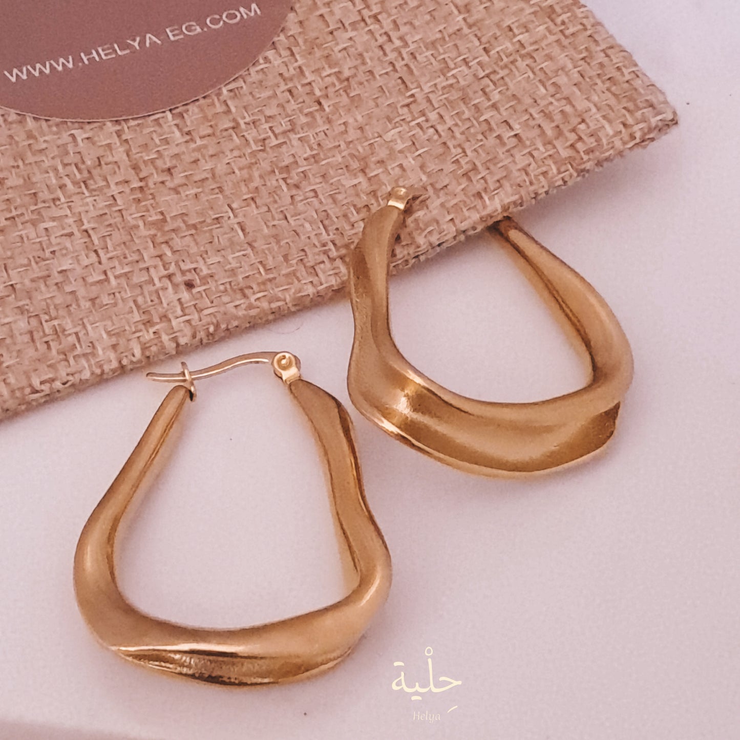 Hoop stainless steel earing - gold